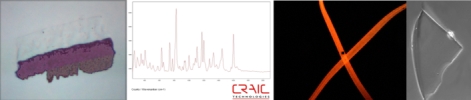 Ultraviolet absorbance of protein